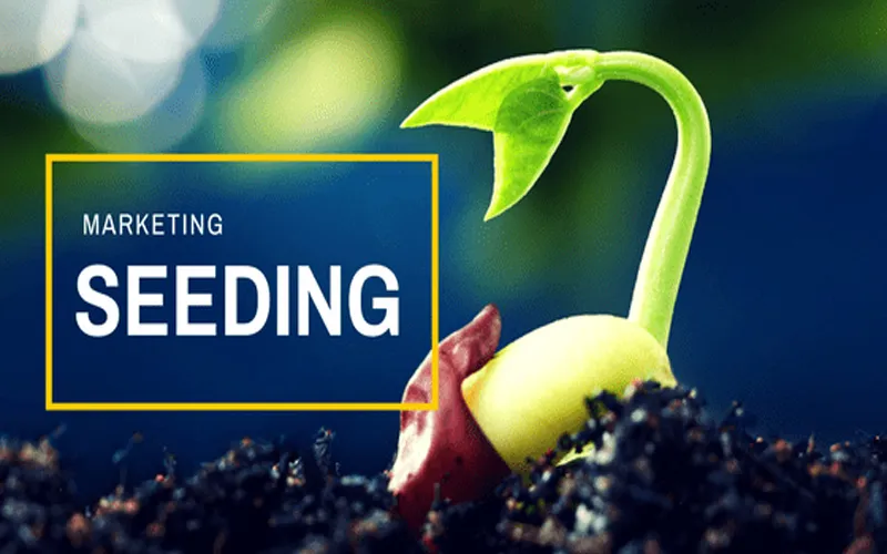 Seeding là gì? Nghề seeding có được nhiều tiền không?