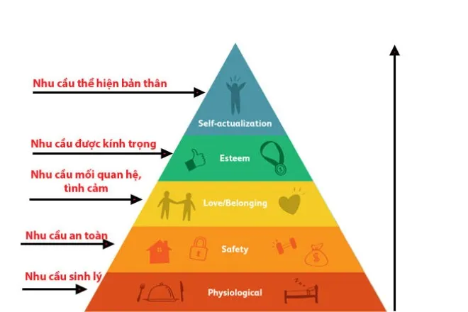 Tháp nhu cầu Maslow là gì? Hướng dẫn cách ứng dụng trong Marketing