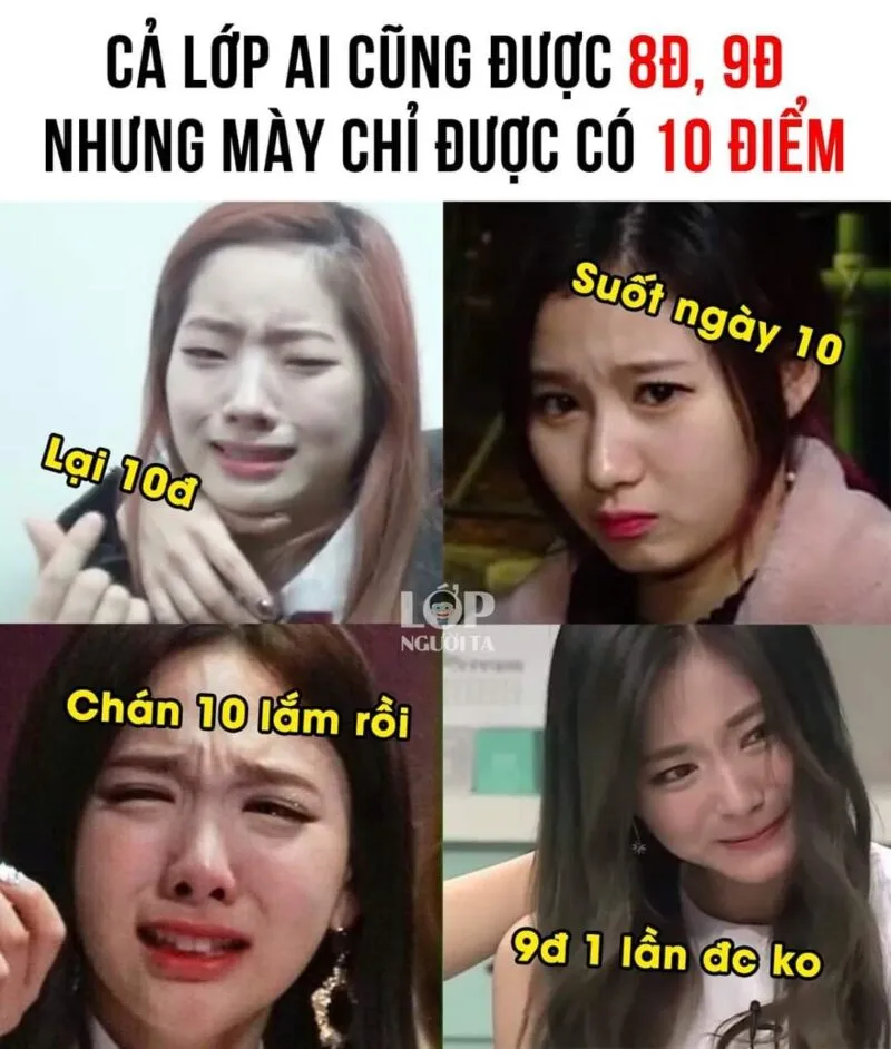 Bật cười sảng khoái với ảnh 10 điểm meme viral nhất mạng xã hội