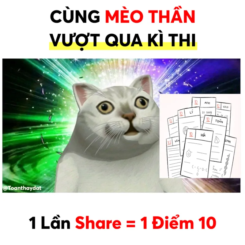 Bật cười sảng khoái với ảnh 10 điểm meme viral nhất mạng xã hội