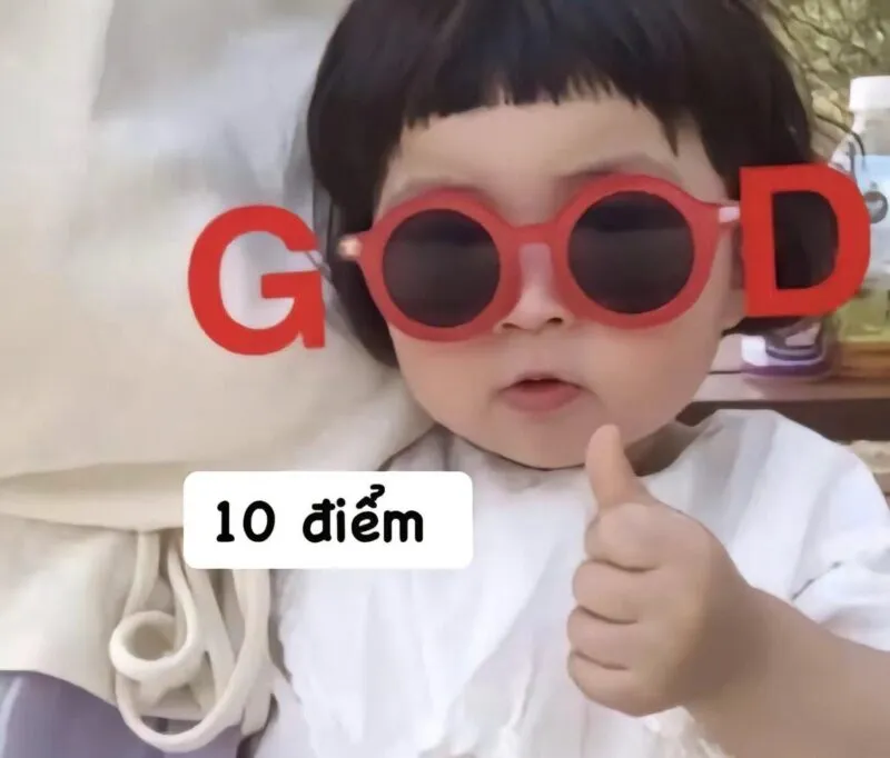 Bật cười sảng khoái với ảnh 10 điểm meme viral nhất mạng xã hội