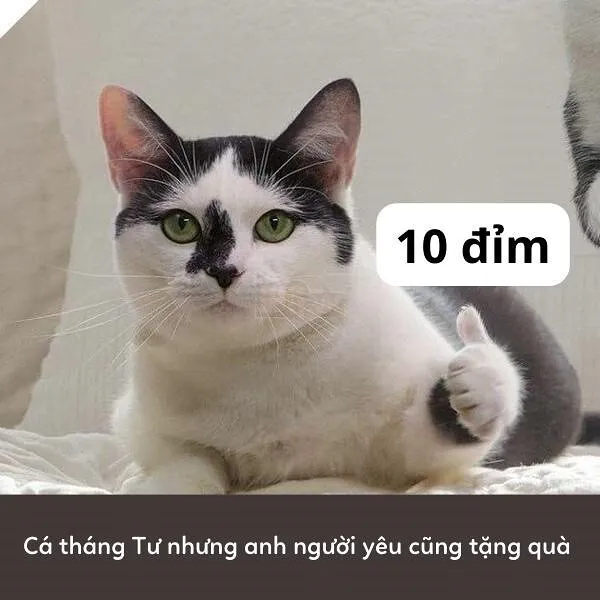 Bật cười sảng khoái với ảnh 10 điểm meme viral nhất mạng xã hội