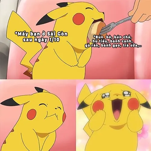 Bật cười sảng khoái với bộ sưu tập ảnh pikachu meme bá đạo