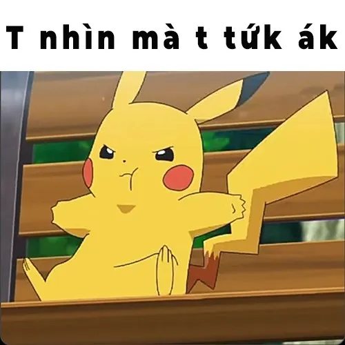 Bật cười sảng khoái với bộ sưu tập ảnh pikachu meme bá đạo