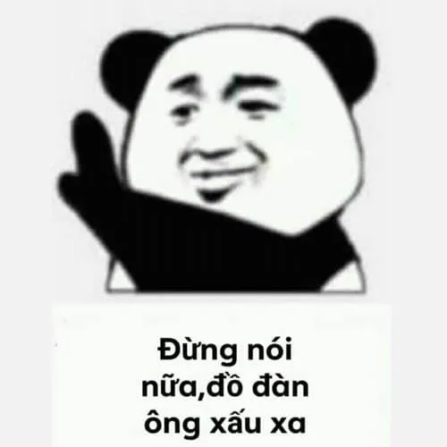 Biểu tượng hài hước từ ảnh gấu trúc meme khuấy đảo mạng xã hội