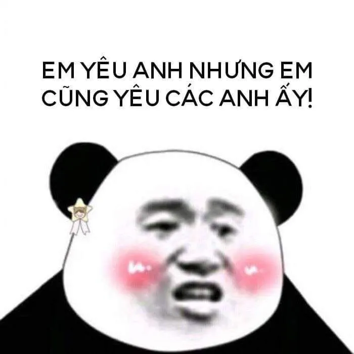 Biểu tượng hài hước từ ảnh gấu trúc meme khuấy đảo mạng xã hội