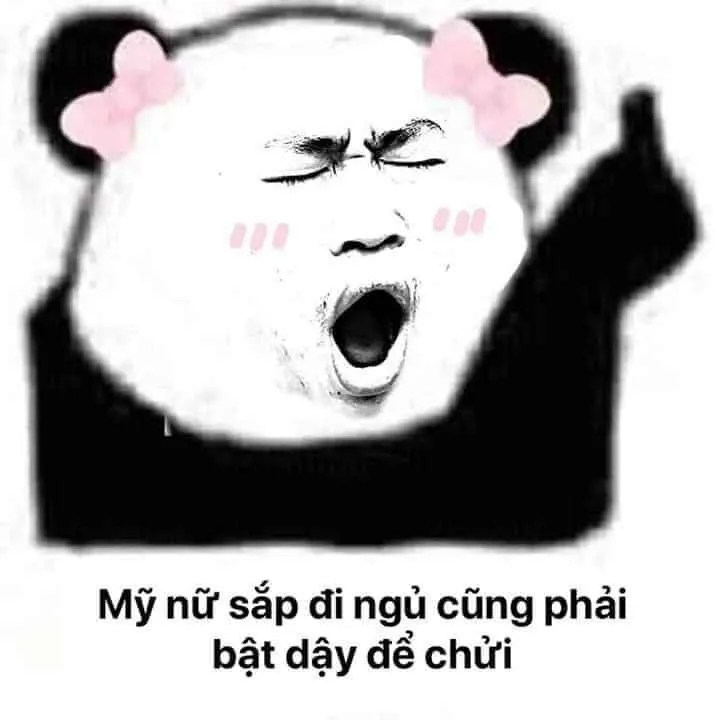 Biểu tượng hài hước từ ảnh gấu trúc meme khuấy đảo mạng xã hội