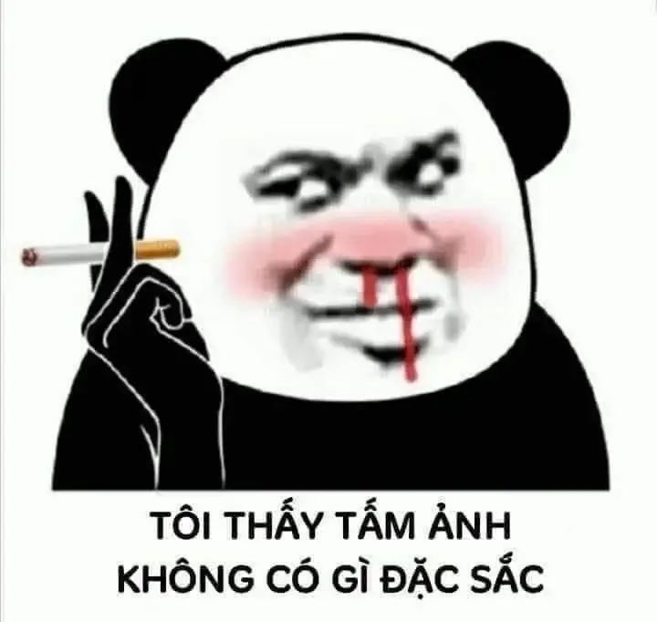 Biểu tượng hài hước từ ảnh gấu trúc meme khuấy đảo mạng xã hội