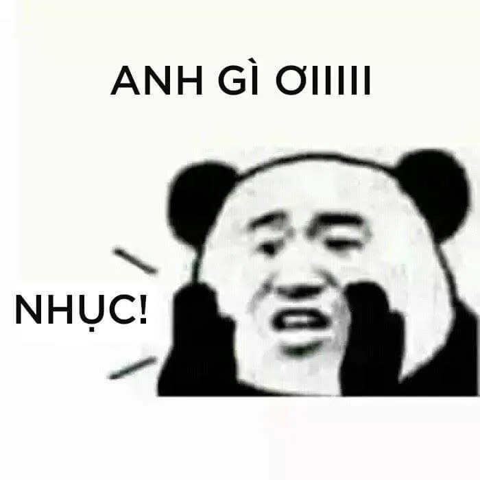 Biểu tượng hài hước từ ảnh gấu trúc meme khuấy đảo mạng xã hội