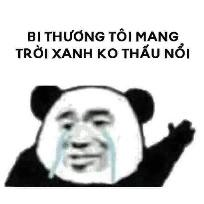 Biểu tượng hài hước từ ảnh gấu trúc meme khuấy đảo mạng xã hội