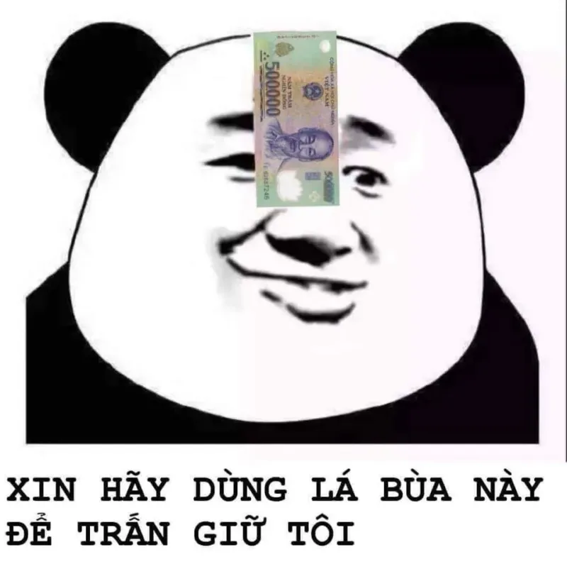 Biểu tượng hài hước từ ảnh gấu trúc meme khuấy đảo mạng xã hội