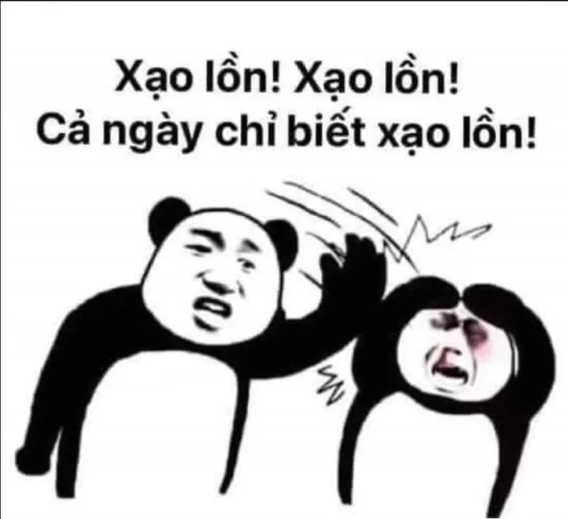 Biểu tượng hài hước từ ảnh gấu trúc meme khuấy đảo mạng xã hội