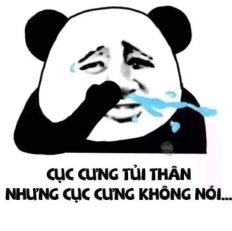 Biểu tượng hài hước từ ảnh gấu trúc meme khuấy đảo mạng xã hội