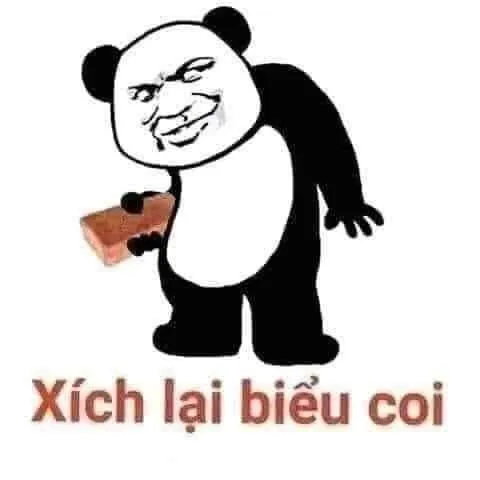 Biểu tượng hài hước từ ảnh gấu trúc meme khuấy đảo mạng xã hội