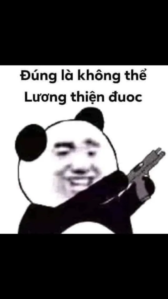 Biểu tượng hài hước từ ảnh gấu trúc meme khuấy đảo mạng xã hội