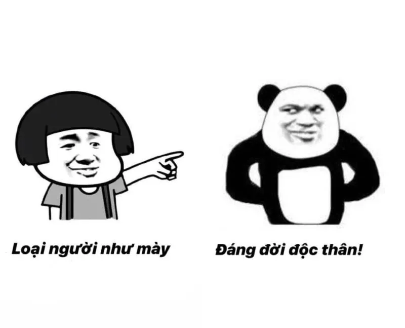 Biểu tượng hài hước từ ảnh gấu trúc meme khuấy đảo mạng xã hội