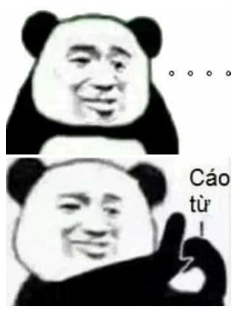 Biểu tượng hài hước từ ảnh gấu trúc meme khuấy đảo mạng xã hội