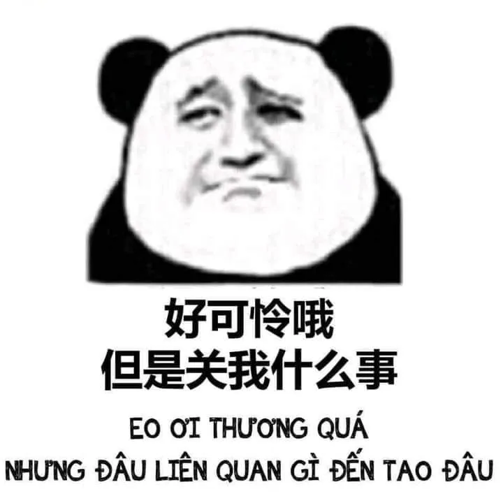 Biểu tượng hài hước từ ảnh gấu trúc meme khuấy đảo mạng xã hội