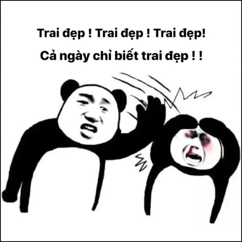 Biểu tượng hài hước từ ảnh gấu trúc meme khuấy đảo mạng xã hội