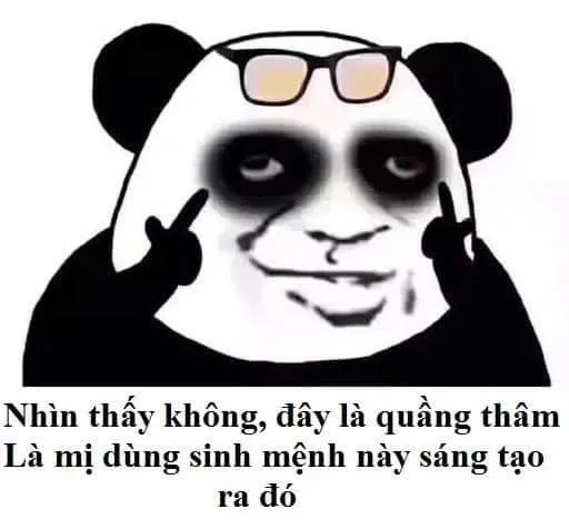 Biểu tượng hài hước từ ảnh gấu trúc meme khuấy đảo mạng xã hội