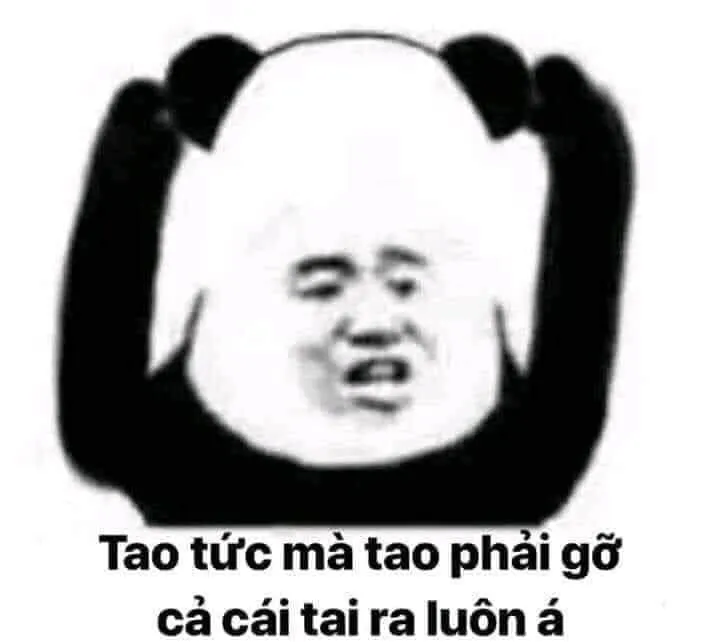 Biểu tượng hài hước từ ảnh gấu trúc meme khuấy đảo mạng xã hội