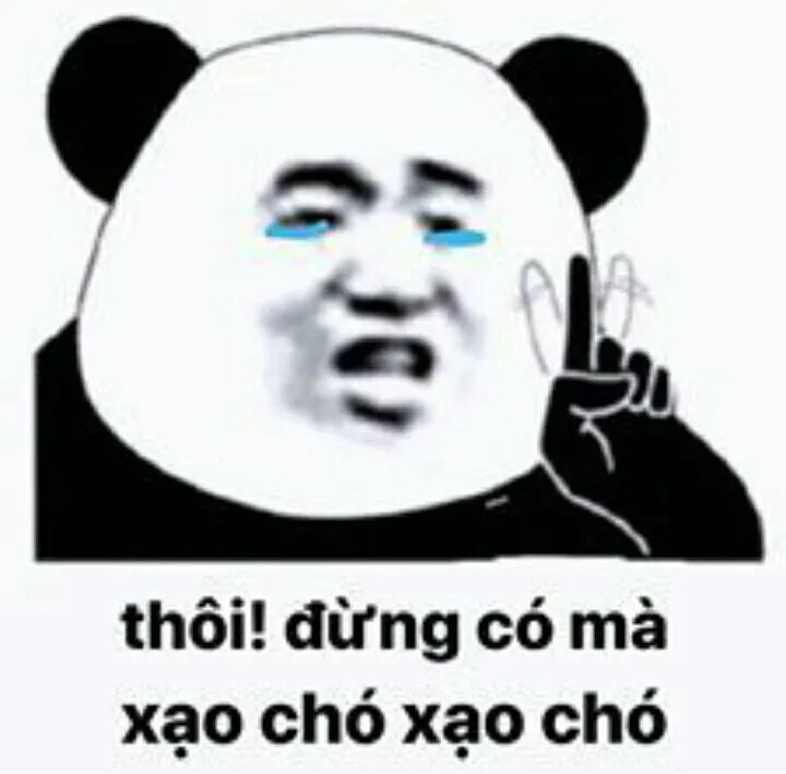 Biểu tượng hài hước từ ảnh gấu trúc meme khuấy đảo mạng xã hội