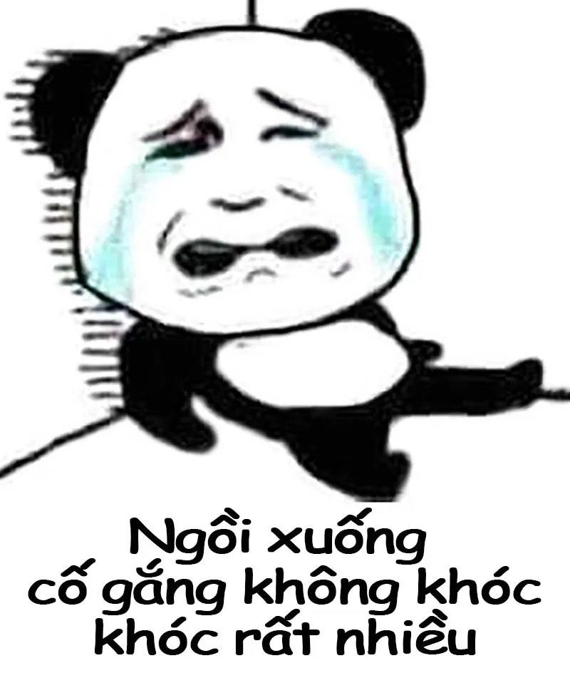 Biểu tượng hài hước từ ảnh gấu trúc meme khuấy đảo mạng xã hội