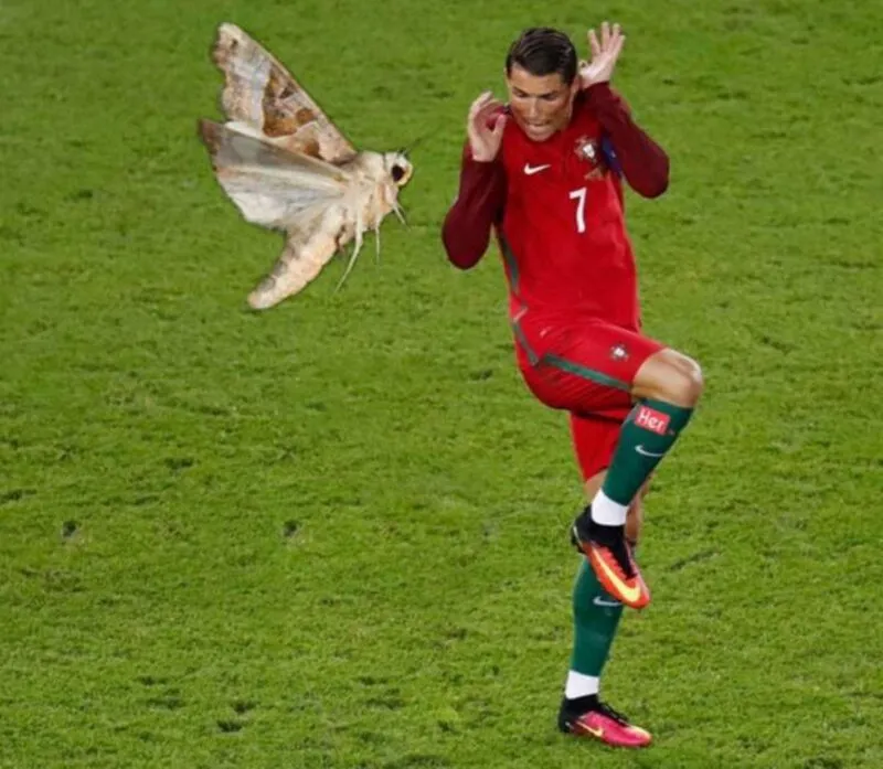 Bộ ảnh của siêu sao bóng đá meme Ronaldo khi gặp gỡ văn hóa meme