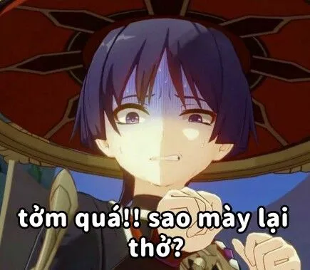 Bộ ảnh meme anime hài hước nhất khiến bạn cười không thể ngừng!