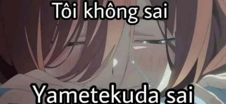 Bộ ảnh meme anime hài hước nhất khiến bạn cười không thể ngừng!