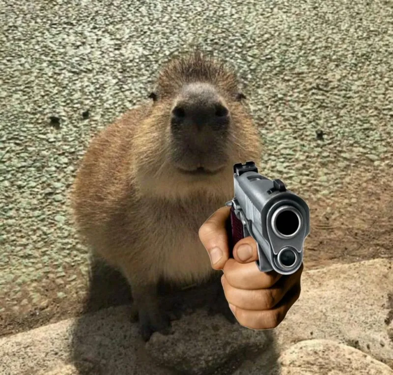 Bộ ảnh meme Capybara biểu cảm ngờ nghệch tạo sự hài hước