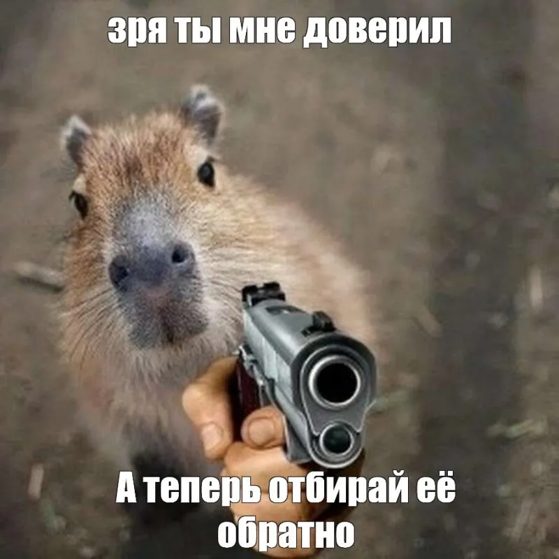 Bộ ảnh meme Capybara biểu cảm ngờ nghệch tạo sự hài hước