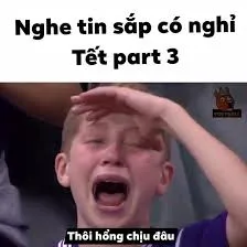 Bộ ảnh meme người hài hước nhất phản chiếu những cung bậc cảm xúc