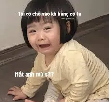 Bộ ảnh meme người hài hước nhất phản chiếu những cung bậc cảm xúc