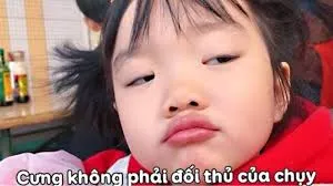 Bộ ảnh meme người hài hước nhất phản chiếu những cung bậc cảm xúc