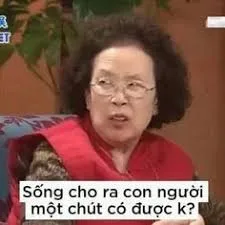 Bộ ảnh meme người hài hước nhất phản chiếu những cung bậc cảm xúc