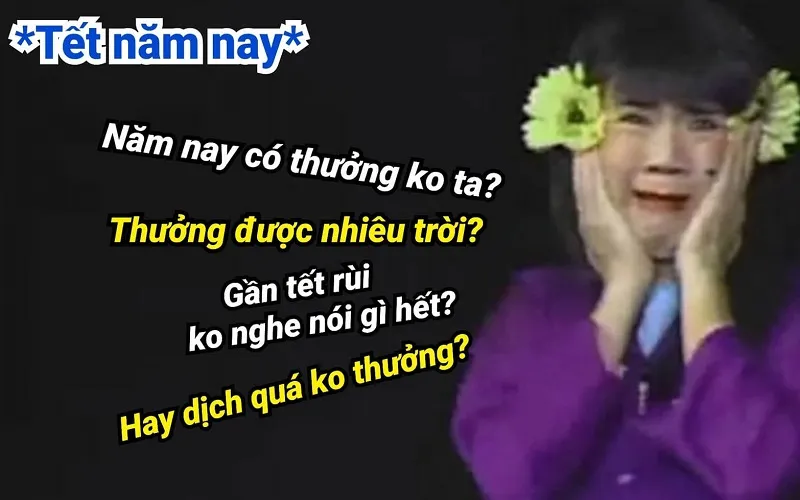 Bộ ảnh meme Tết độc đáo với các tình huống dở khóc dở cười