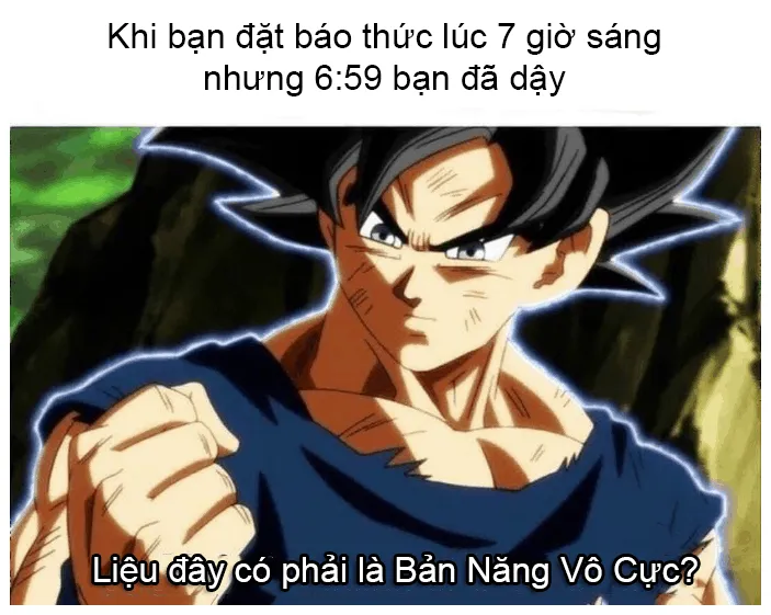 Bộ sưu tập ảnh meme chế hài hước độc đáo và sáng tạo nhất