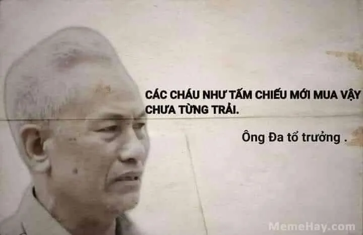 Bộ sưu tập ảnh meme chế hài hước độc đáo và sáng tạo nhất