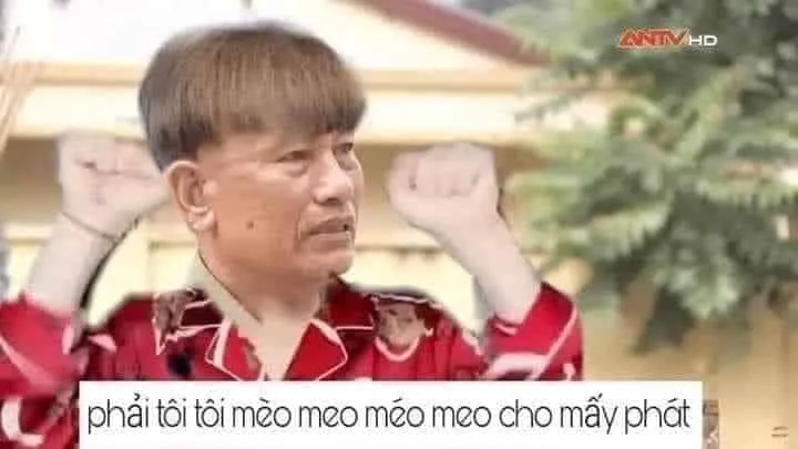 Bộ sưu tập ảnh meme chế hài hước độc đáo và sáng tạo nhất