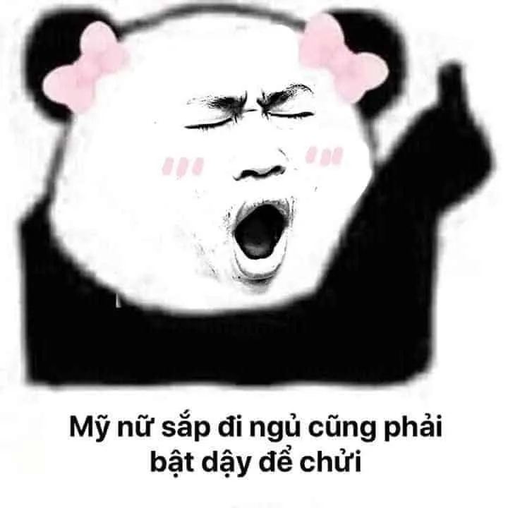 Bộ sưu tập ảnh meme chế hài hước độc đáo và sáng tạo nhất