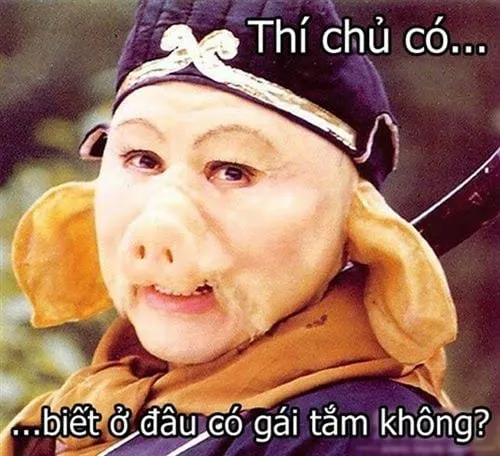 Bộ sưu tập ảnh meme chế hài hước độc đáo và sáng tạo nhất