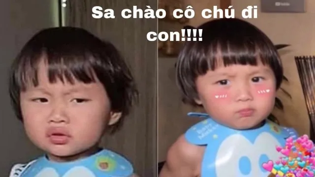 Bộ sưu tập ảnh meme chế hài hước độc đáo và sáng tạo nhất