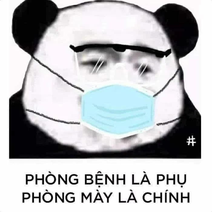 Bộ sưu tập ảnh meme chế hài hước độc đáo và sáng tạo nhất