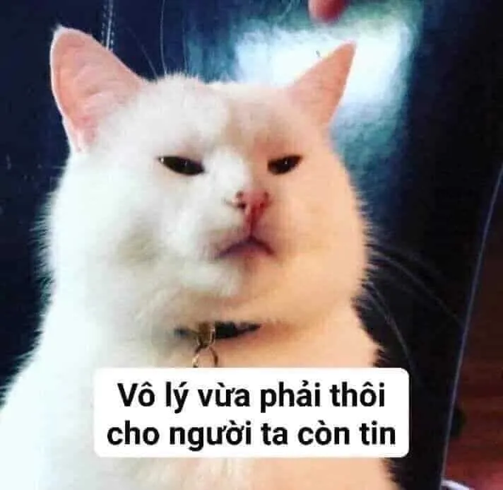 Bộ sưu tập ảnh meme chế hài hước độc đáo và sáng tạo nhất