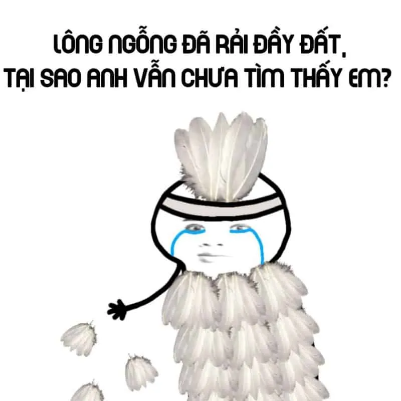 Bộ sưu tập ảnh meme chế hài hước độc đáo và sáng tạo nhất