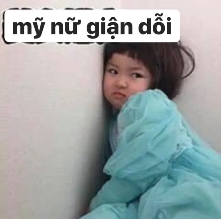 Bộ sưu tập ảnh meme dỗi siêu hài hước cho mọi tâm trạng