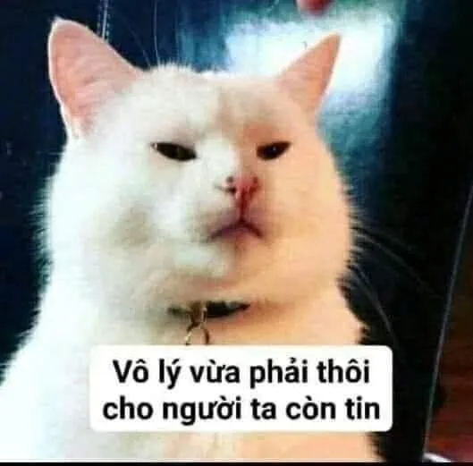 Bộ sưu tập ảnh meme dỗi siêu hài hước cho mọi tâm trạng