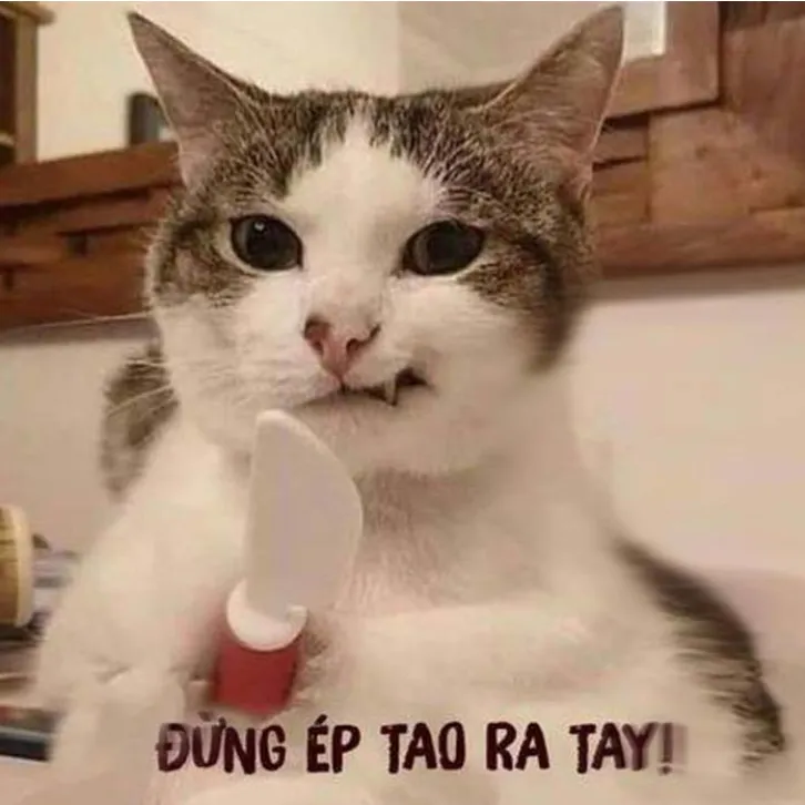 Bộ sưu tập hơn 50 hình ảnh meme tức giận siêu lầy lội