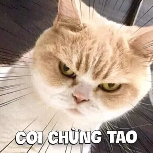 Bộ sưu tập hơn 50 hình ảnh meme tức giận siêu lầy lội